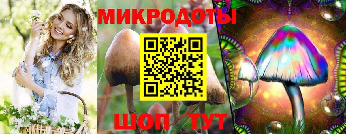 Псилоцибиновые грибы Psilocybe  закладки  Гурьевск  Вход с VPN  Галлюциногенные грибы GOLDEN TEACHER 